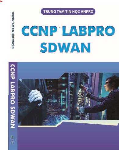 CCNP LABPRO SDWAN